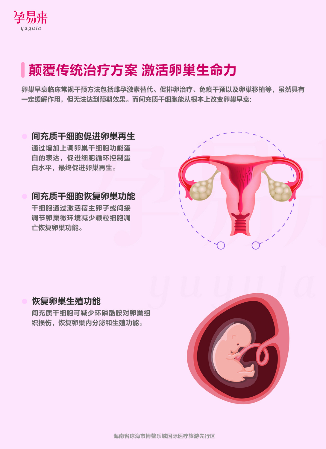 生命之源提升疗程（2024年）-第二页-1.jpg