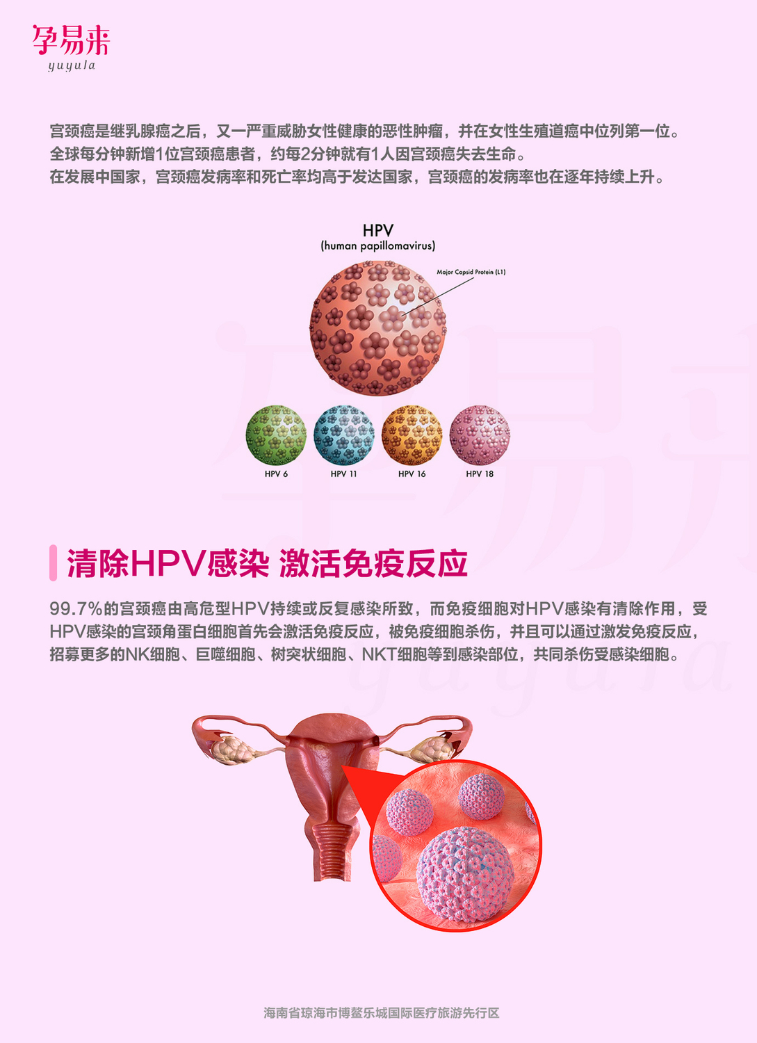 宫颈养护疗程（2023年）-第一页-1.jpg