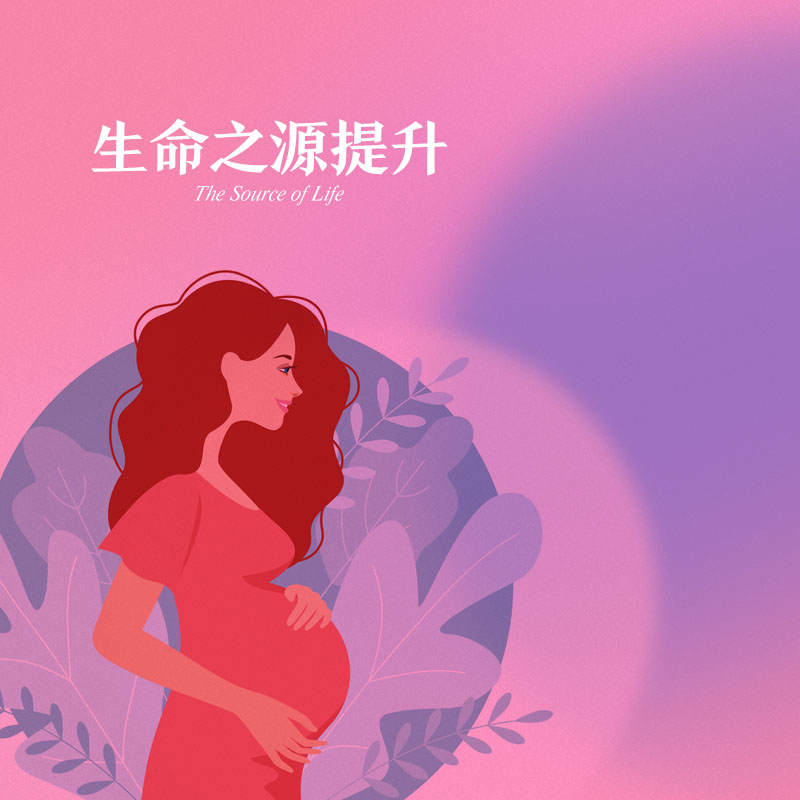 生命之源提升